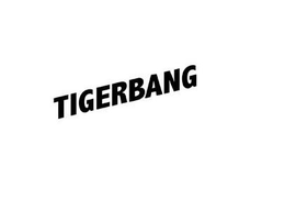 TIGERBANG trademark