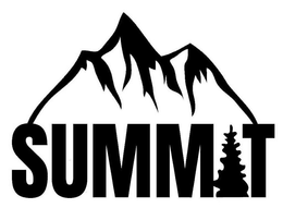 SUMMIT trademark