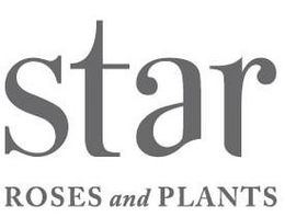 STAR ROSES AND PLANTS trademark