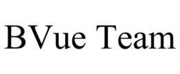 BVUE TEAM trademark