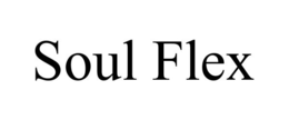 SOUL FLEX trademark