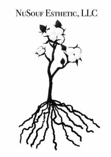 NUSOUF ESTHETIC, LLC trademark