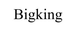 BIGKING trademark