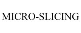 MICRO-SLICING trademark