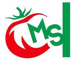 MS trademark
