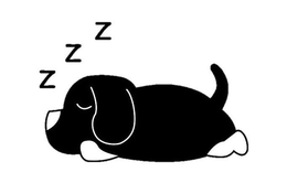 ZZZ trademark