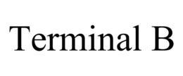 TERMINAL B trademark