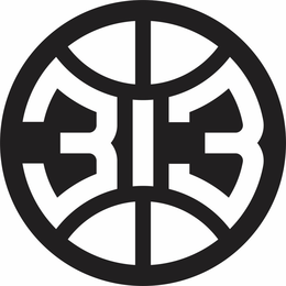 313 trademark