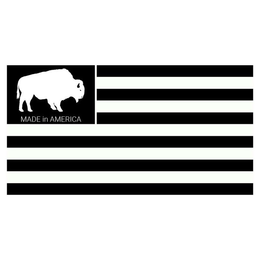 MADE IN AMERICA trademark