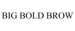 BIG BOLD BROW trademark