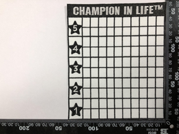 CHAMPION IN LIFE trademark