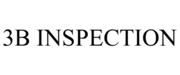 3B INSPECTION trademark