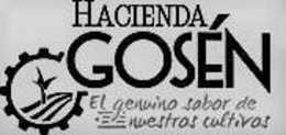 HACIENDA GOSEN EL GENUINO SABOR DE NUESTROS CULTIVOS trademark
