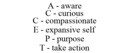 A - AWARE C - CURIOUS C - COMPASSIONATE E - EXPANSIVE SELF P - PURPOSE T - TAKE ACTION trademark