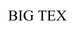 BIG TEX trademark