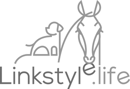 LINKSTYLE.LIFE trademark