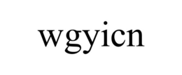 WGYICN trademark