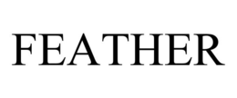 FEATHER trademark
