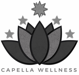 CAPELLA WELLNESS trademark