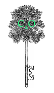 C2O trademark