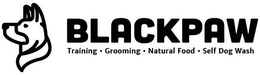 BLACKPAW TRAINING GROOMING NATURAL FOOD SELF DOG WASH trademark
