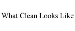 WHAT CLEAN LOOKS LIKE trademark