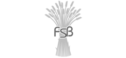 FSB trademark