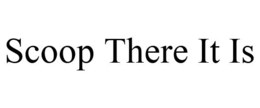 SCOOP THERE IT IS trademark