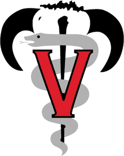 V trademark
