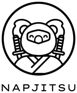 NAPJITSU trademark