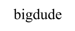 BIGDUDE trademark