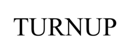 TURNUP trademark
