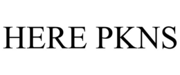 HERE PKNS trademark