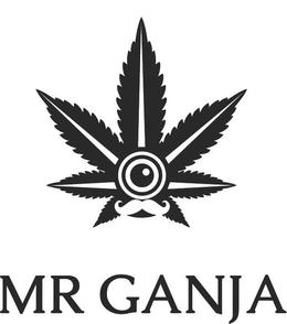 MR GANJA trademark