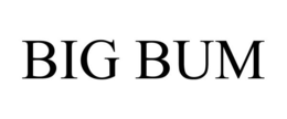 BIG BUM trademark