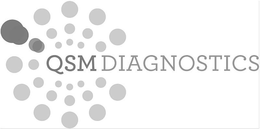 QSM DIAGNOSTICS trademark