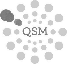 QSM trademark