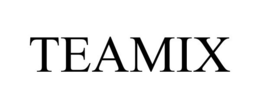 TEAMIX trademark