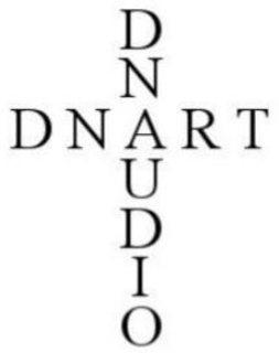 D N D N A R T U D I O trademark