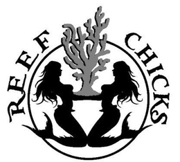 REEF CHICKS trademark
