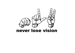 NLV NEVER LOSE VISION trademark