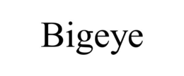 BIGEYE trademark
