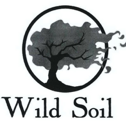 WILD SOIL trademark