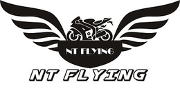 NT FLYING trademark