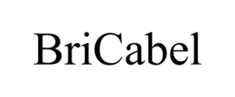 BRICABEL trademark