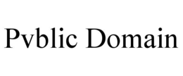 PVBLIC DOMAIN trademark
