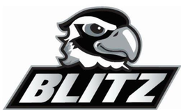 BLITZ trademark