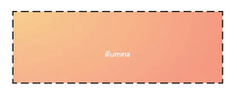 ILLUMINA trademark