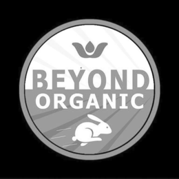 BEYOND ORGANIC trademark