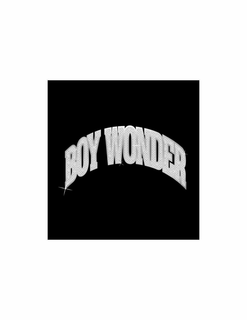 BOY WONDER trademark